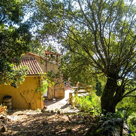 Maison Charmante Avec Vue Sur La Mer, + Cheminee *